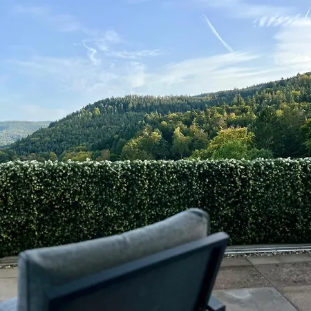 Wohnen Im Schwarzwald Mit Panoramablick Apartamento