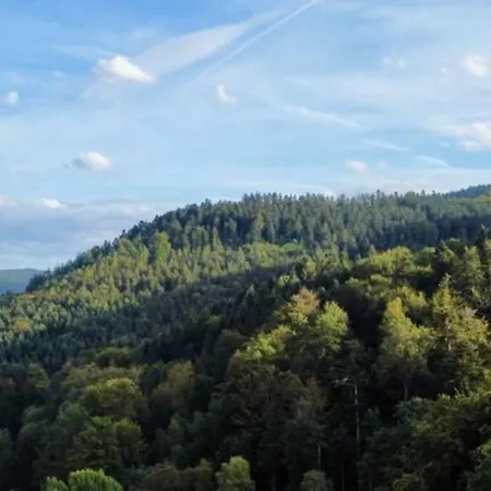 Wohnen Im Schwarzwald Mit Panoramablick Bad Herrenalb
