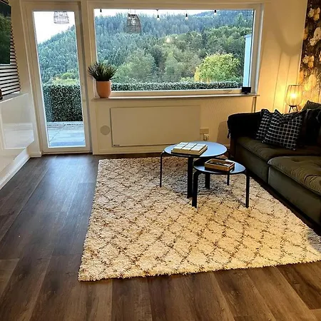 Wohnen Im Schwarzwald Mit Panoramablick