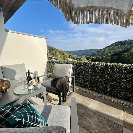 Apartment Wohnen Im Schwarzwald Mit Panoramablick Bad Herrenalb