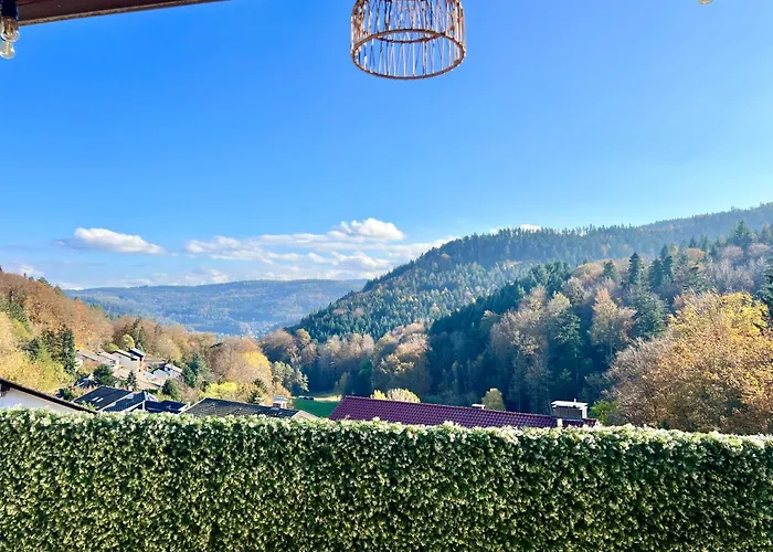 Lägenhet Wohnen Im Schwarzwald Mit Panoramablick